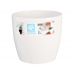 TEST CASSA MATT AMB AUTOREG BLANC