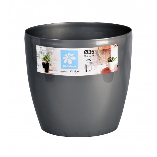 TEST CASSA MATT AMB AUTOREG GRIS