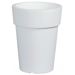 TEST CLASSIC ALT BLANC