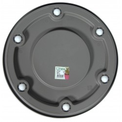 PLAT CLASSIC AMB RODES 