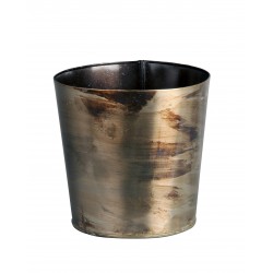 TEST METAL ORCHID BEIRUT PLATA