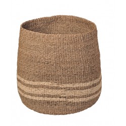 TEST BASKET ANALI DARK