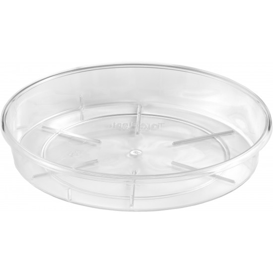 PLAT PORTO TRANSPARENT