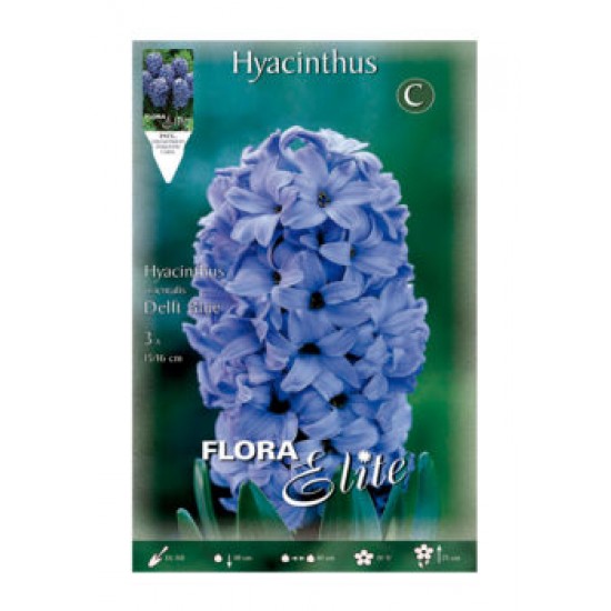 JACINTO BLAU