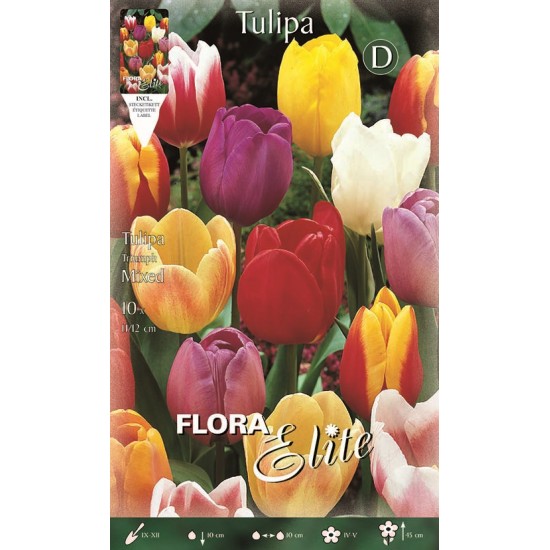BULBS TULIPES VARIADES BULBS TULIPES VARIADES