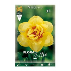 BULBS NARCISOS DOBLES GROCS