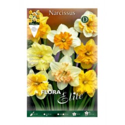 BULBS NARCÍS CORONA BARREJA