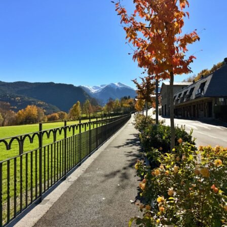 PHOTO-2025-11-25-17-41-36