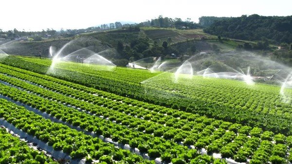 Automatic Irrigation Systems Andorra