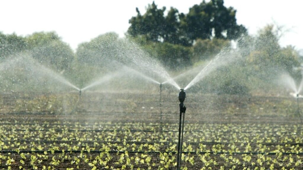 Automatic Irrigation Systems in Andorra