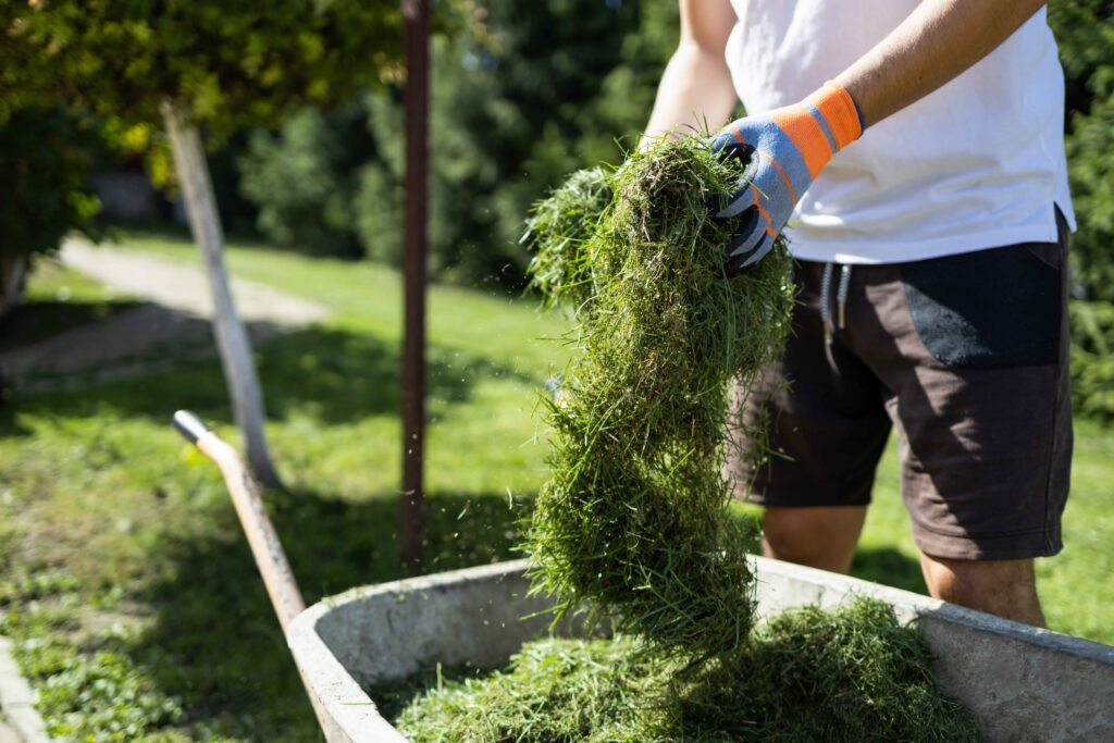 Garden Clean-Up Services in Andorra