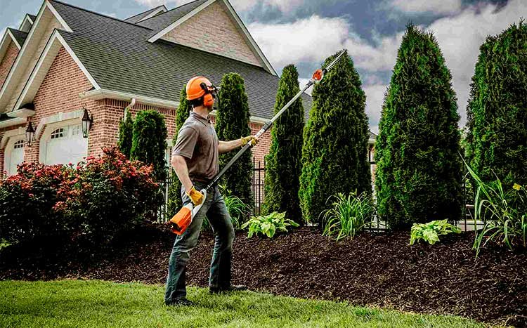 Tree Pruning Services